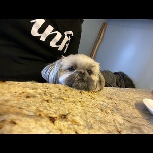 Meet your Posher, Katherine